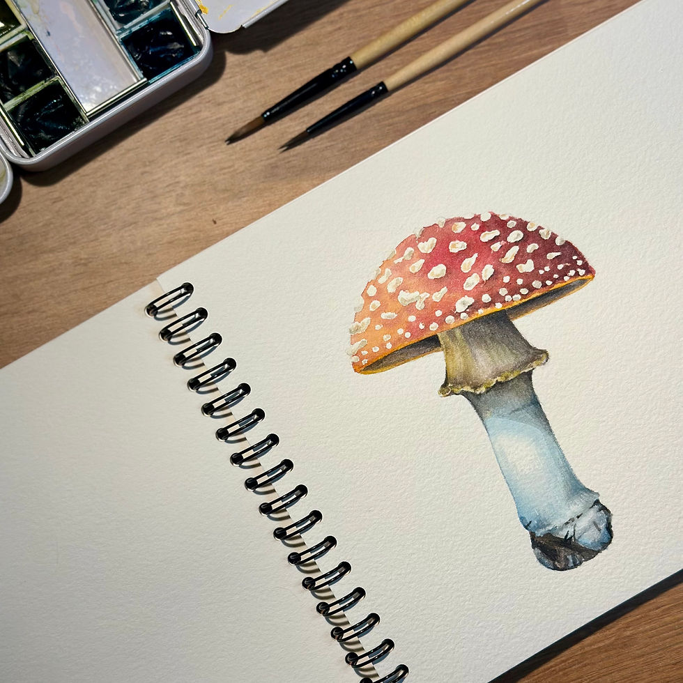 Watercolor Wednesday Morning - Amanita Study