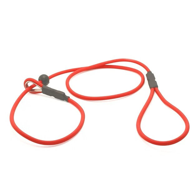 Biothane slip lead in poppy red against a white background