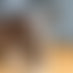 A dog in a kitchen with its head in the kitchen bin