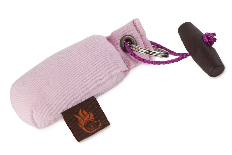 Thumbnail: The Firedog Keyring Dummy in pink.