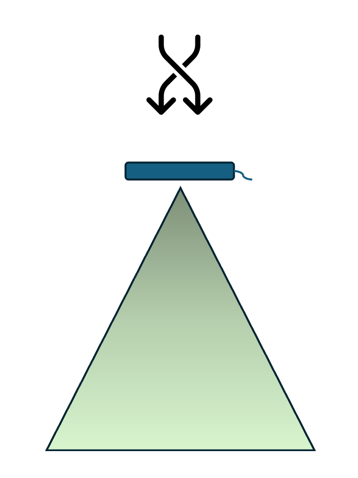 A diagram of a head wind showing the cone of scent coming towards the dog