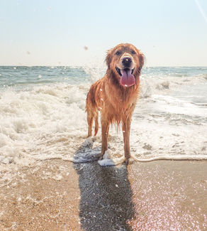 Hot weather and how to prevent heatstroke