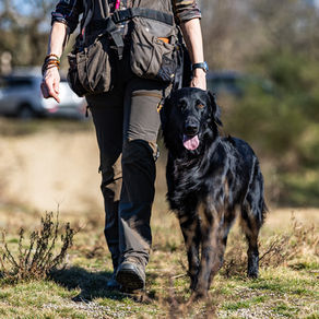 Choosing the right trainer