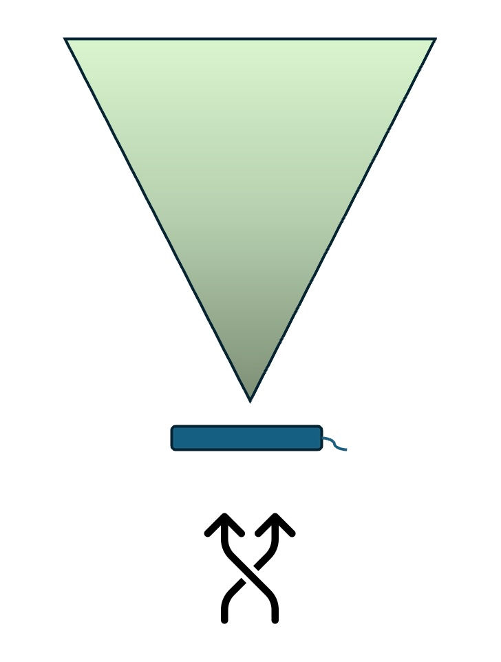 A diagram of a backwind showing a cone of scent going away from the dog