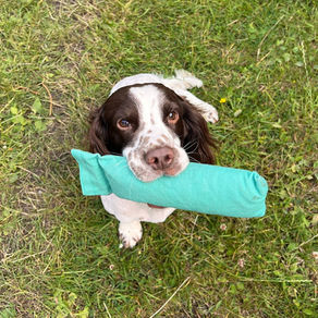 The Reluctant Retriever Dummy ®