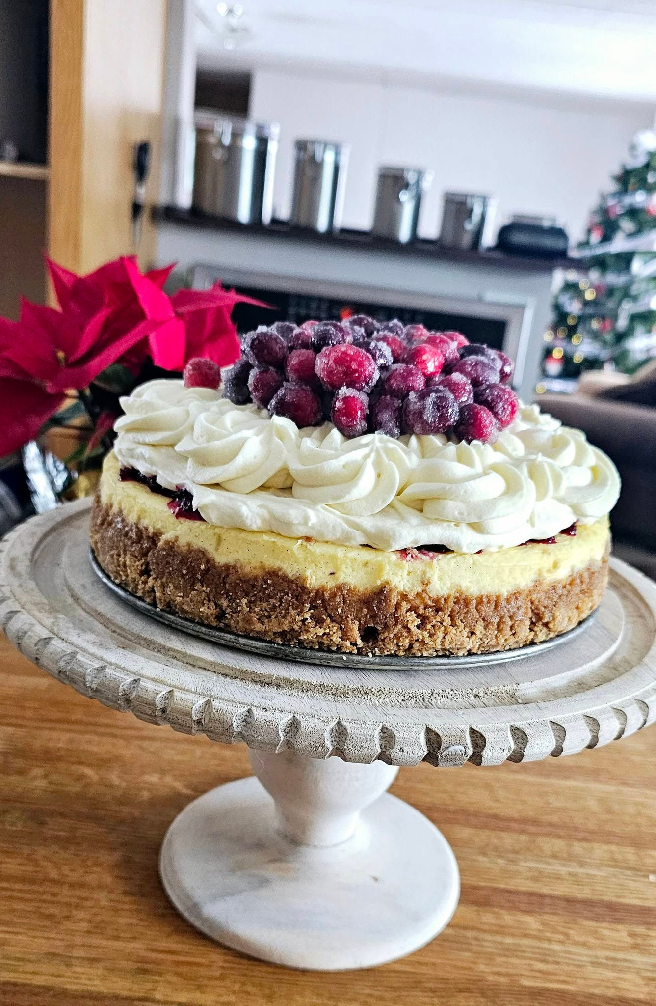Cranberry White Chocolate Mousse Cheesecake