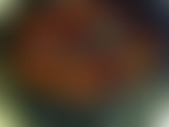 אוסובוקו בשר