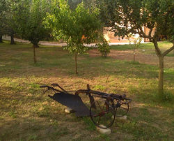 IMG-20160803-WA0035_edited