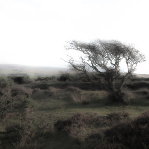 Photographs by Judith Strudwick