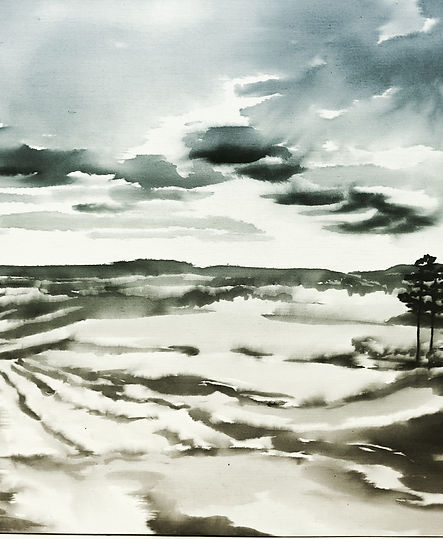 IMG_20210105_165347_944 (1).jpg