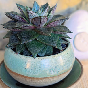 Ceramics by Clare Jones