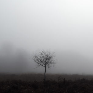 Photography by Judith Strudwick