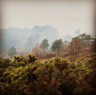 Photography by Judith Strudwick