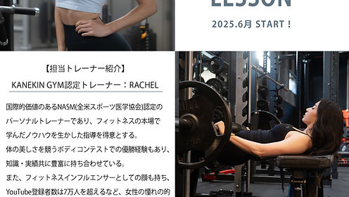 CORアパレル　4点セット BRANDS :: REDMOON :: MID LINE :: ロングウォレット :: レッド