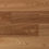 Thumbnail: American Red Elm