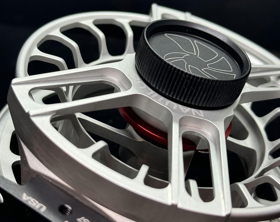 Thumbnail: Nautilus XL Clear