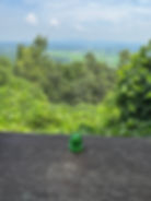 A peaceful from looking out at the DMZ