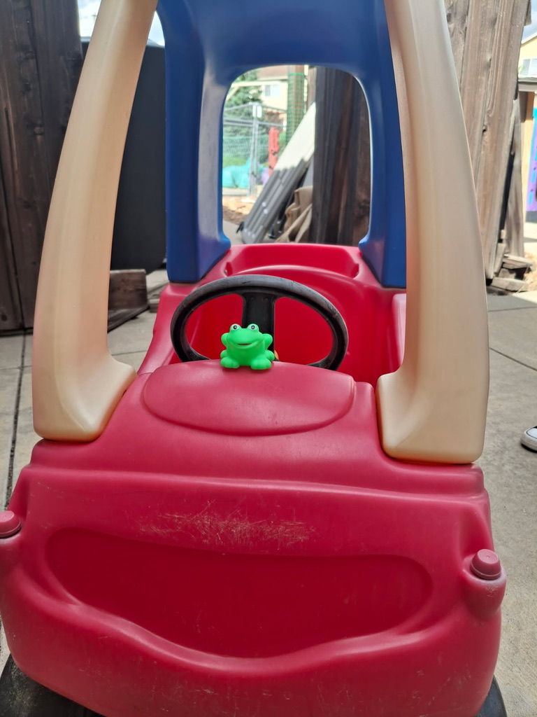 Driving Frog