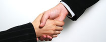 Professional Handshake