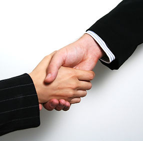 Professional Handshake 