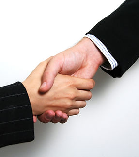 Professional Handshake