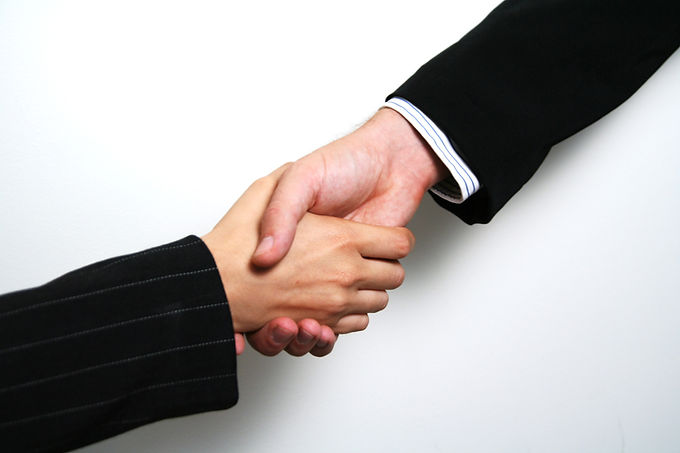 Professional Handshake