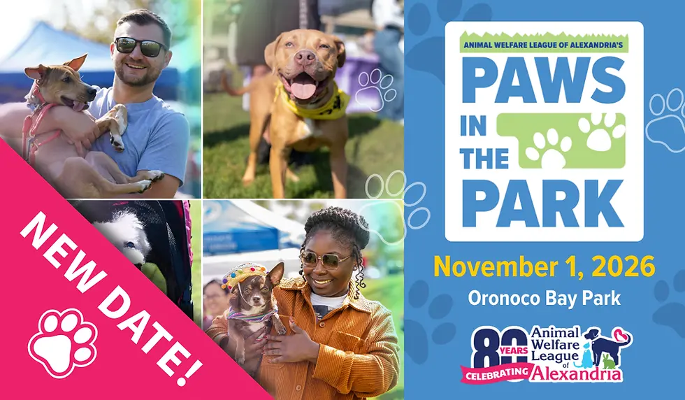 Paws in the Park 2026 event graphic announcing November 1 at Oronoco Bay Park in Alexandria, VA. Pet Sitting 4 Comfort® will be there with fun activities and giveaways.
