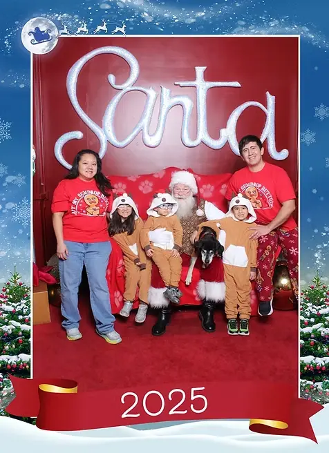 petsitting4comfort-holiday-2025jpg.webp