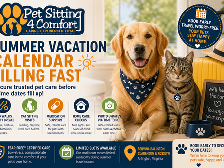 Golden retriever and cat with luggage beside Pet Sitting 4 Comfort logo promoting summer vacation pet sitting in Arlington