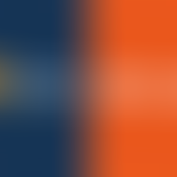 Split cover image showing the Pet Sitting 4 Comfort logo on a navy background and the Road Runner Sports logo on an orange background, representing a local community partnership in Arlington, Virginia.