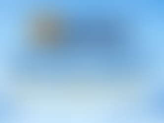 Winter Travel & Driving Tips for Pet Parents in Arlington, VA