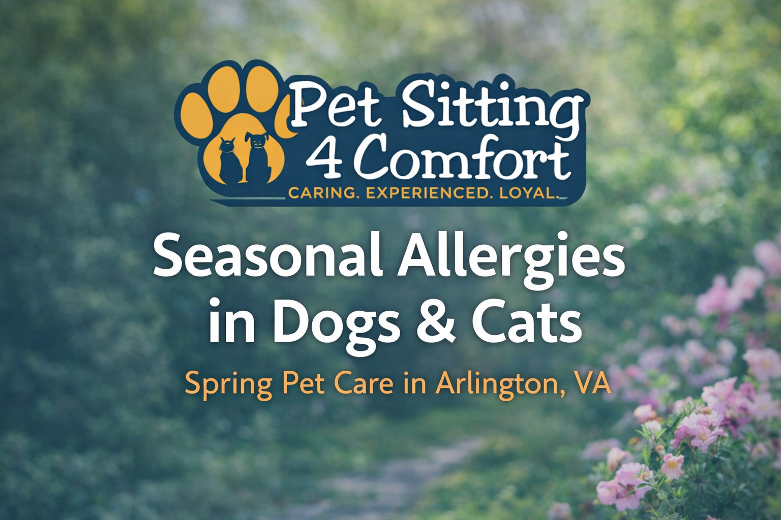 Seasonal Allergies in Dogs & Cats | Arlington VA Spring Pet Care