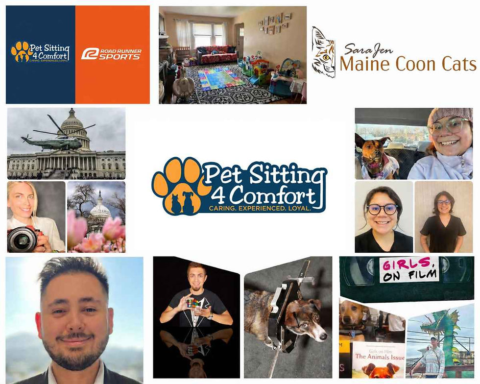 PS4C Community collage featuring local Arlington clients, businesses, creatives, professionals, pets, and partner organizations connected with Pet Sitting 4 Comfort®.
