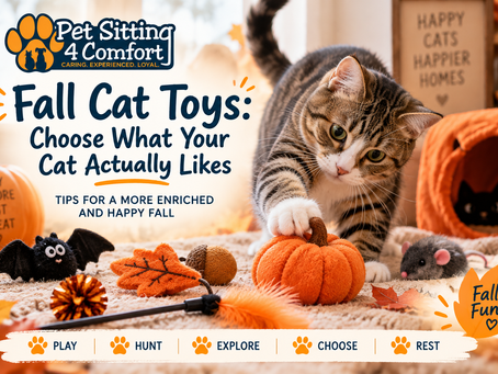 Tabby cat playing with fall-themed toys including a pumpkin, leaf, bat, and wand toy for a Pet Sitting 4 Comfort fall cat enrichment guide.