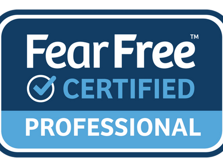 Fear Free certified pet care Arlington VA low stress pet sitting