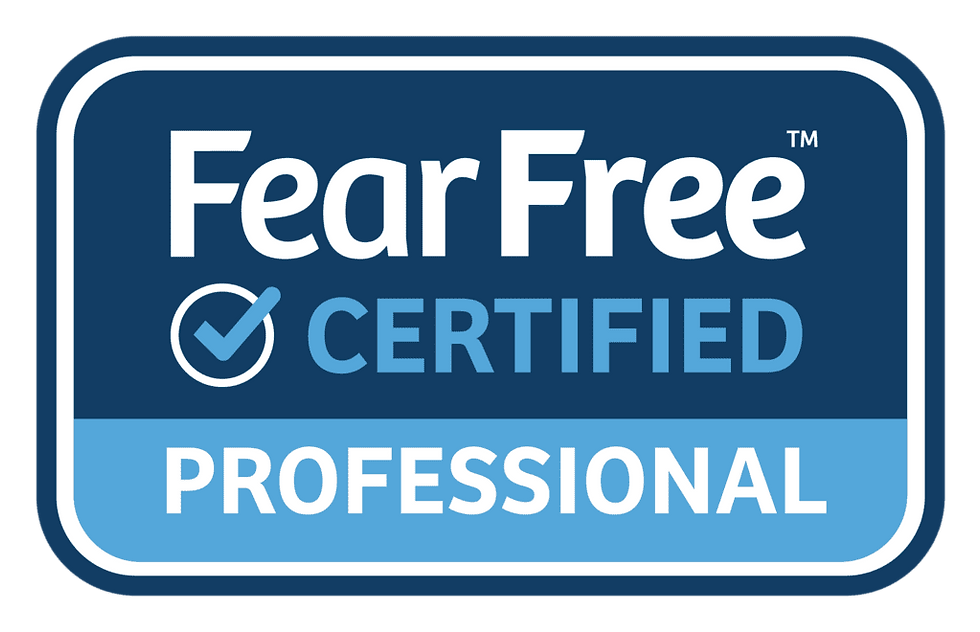 Fear Free certified pet care Arlington VA low stress pet sitting