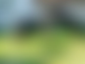 National Dog Bite Prevention Week (April 12–18)