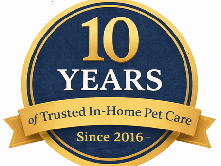 Trusted 10 Years Since 2016 Pet Sitting 4 Comfort Arlington VA pet sitting and dog walking
