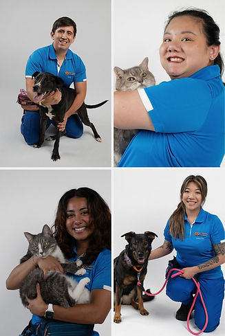 PS4C pet care team with dogs and cats in Arlington, VA