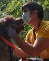 stevesanmiguel-dogwalking.jpg