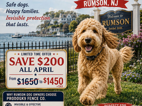 Is your dog an escape artist in Rumson NJ? John Wasilishen is NJ’s top authority in Invisible Dog Fence Installation and Training