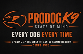at-home dog training in New Jersey