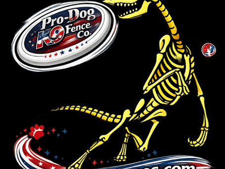 NJ's Trusted Invisible dog fence professionals