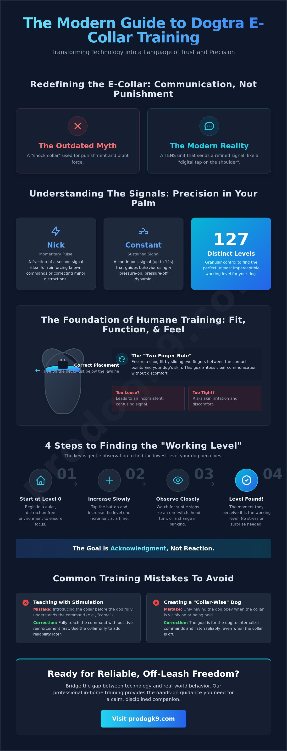Dogtra collar training guide