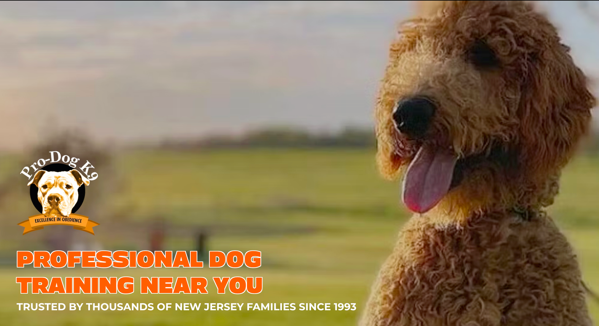 #1 At-Home Dog Training near Monmouth County NJ | 400+ 5-Star ...