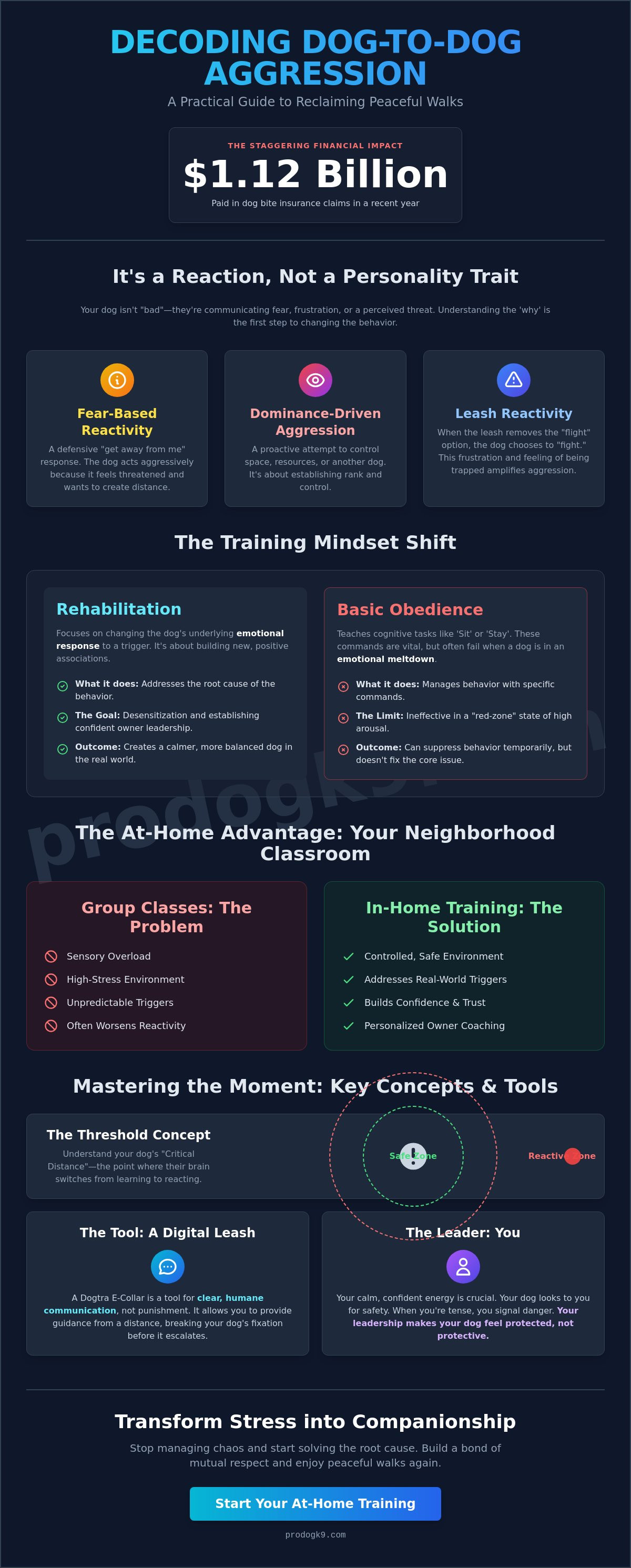 Dog to dog aggression training