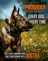 ChatGPT Image Jul 30, 2026, 11_07_32 AM.png