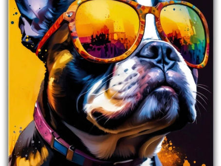 Why Prodogk9 Is Rumson, NJ's Trusted At-Home Dog Training and Invisible Dog Fence company for 3 decades?