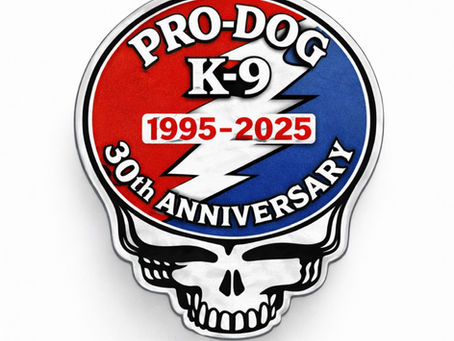 NJ' Invisible Dog Fence Alternative John Wasilishen explains details on dog fence training and the installation process