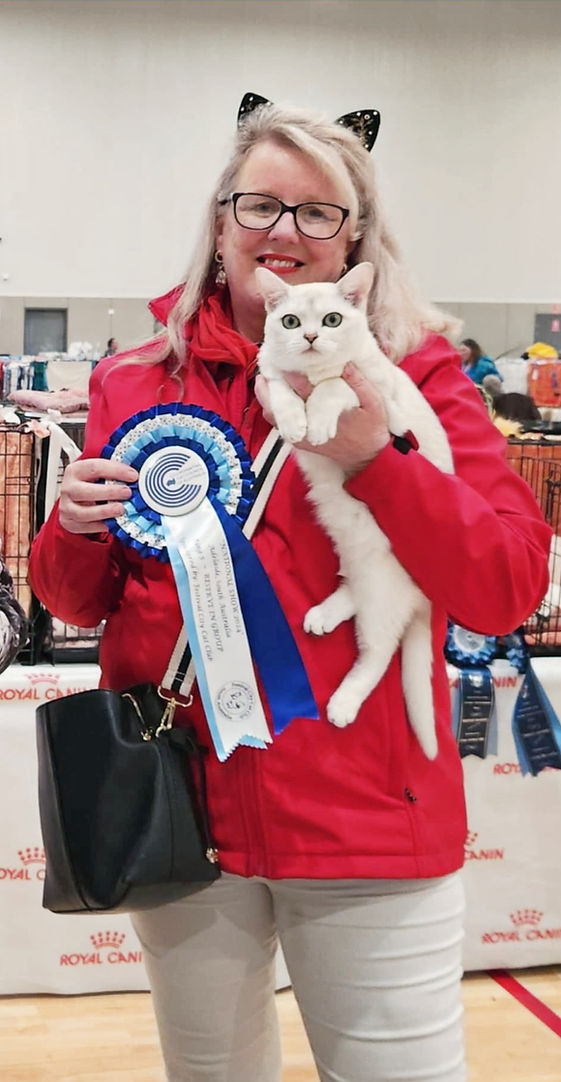 CCCA Best Kitten_edited.jpg